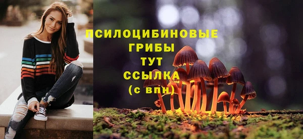 МДМА Богородск