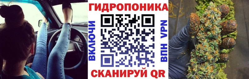дарнет шоп  Наро-Фоминск  Конопля сатива 
